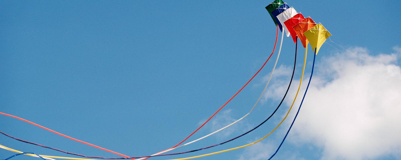 kites flying